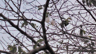 201010041807000.jpg