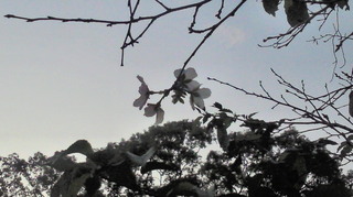 201010041808001.jpg