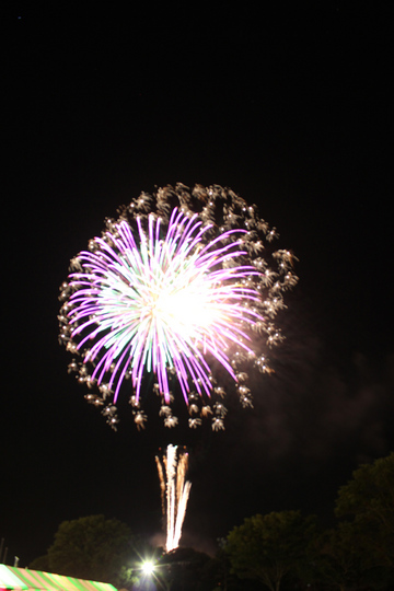 IMG_1552.jpg