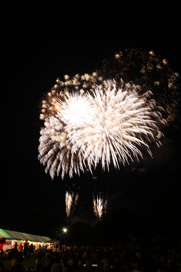 IMG_1650.jpg